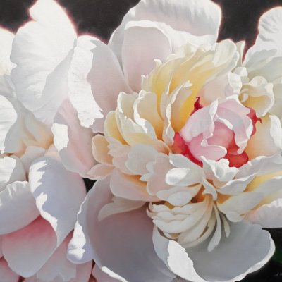 White peonies