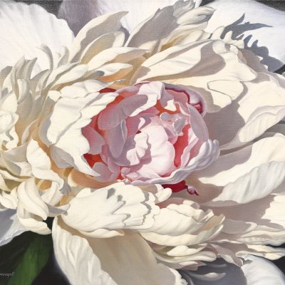 Peony