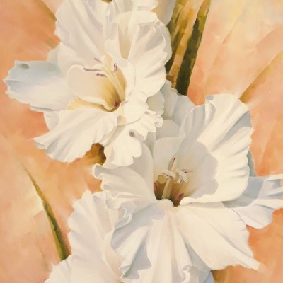 White gladioli