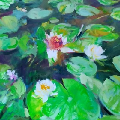 Lily pond