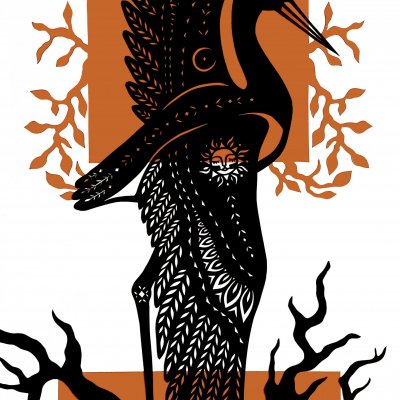 Black stork
