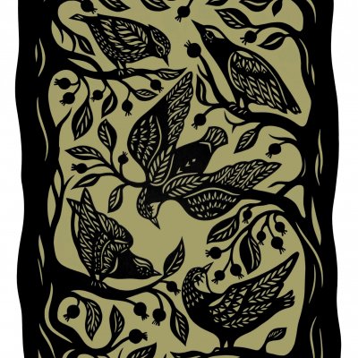 Birds