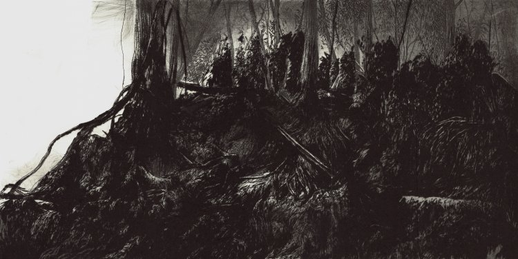 In the Dark