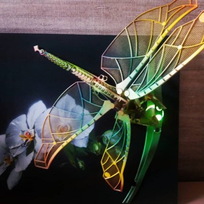 Dragonfly painting
