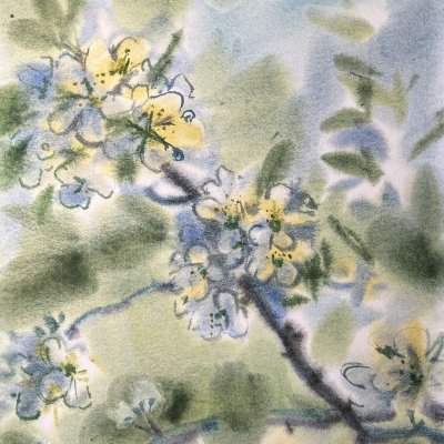 Gardens are blooming