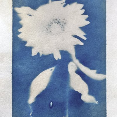 Cyanotype 7