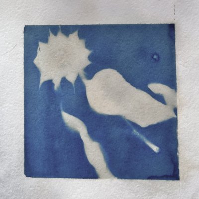 Cyanotype 6