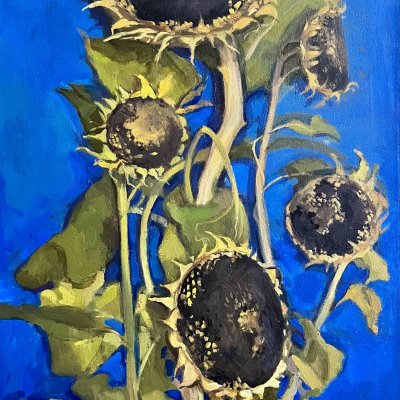 sunflowers