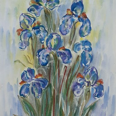 Irises are blue.