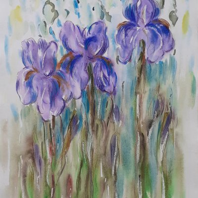 Irises in the grass.