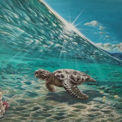 Sea turtle