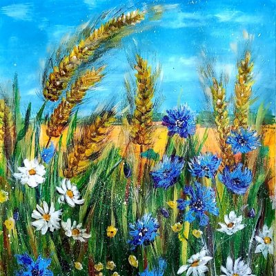 Cornflowers in a wheat field