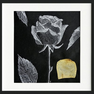 Painting-herbarium “Rose”