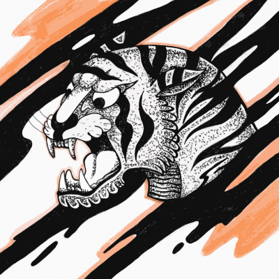 Yr Tigra/Year of the tiger