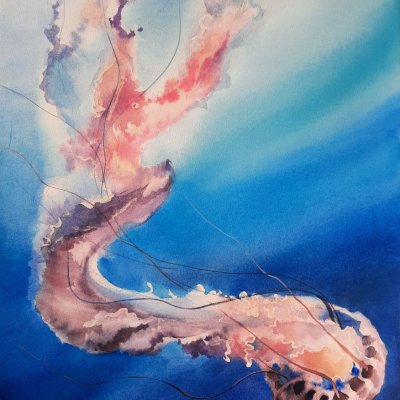 “Dive”