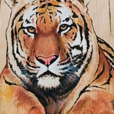 Тигр. Автор Карагодина Надежда