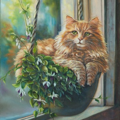 My red cat