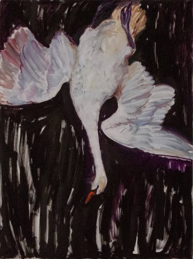 White swan