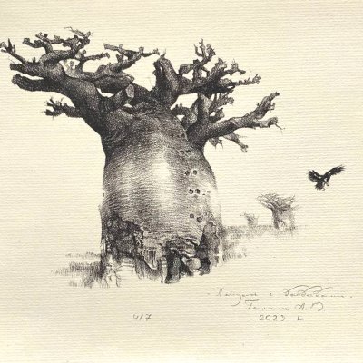 Landscape with baobabs