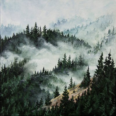 Quiet misty forest
