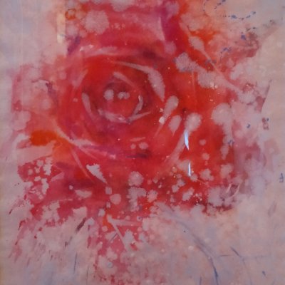 Rose in frame 40x50