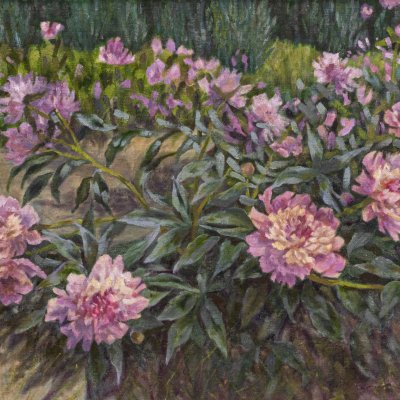 Peonies