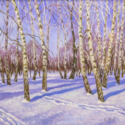 February birch trees