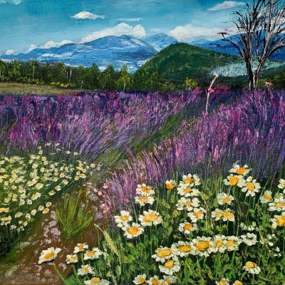 Lavender in the Alps