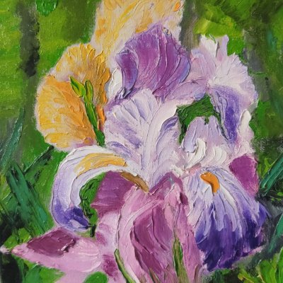 Iris