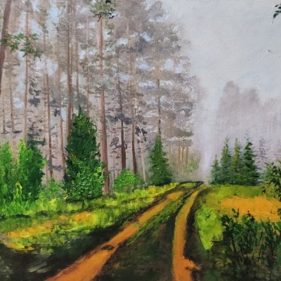 Road in the woods