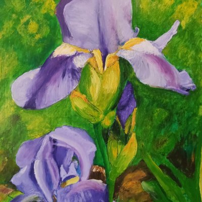 Irises