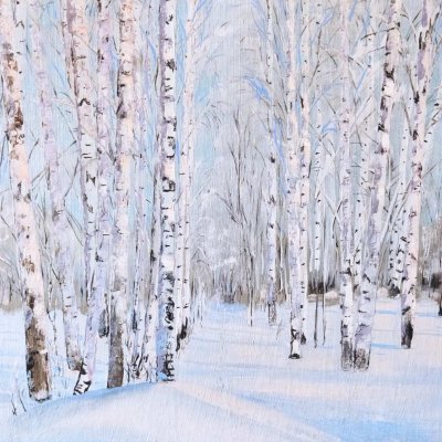 Winter, birches