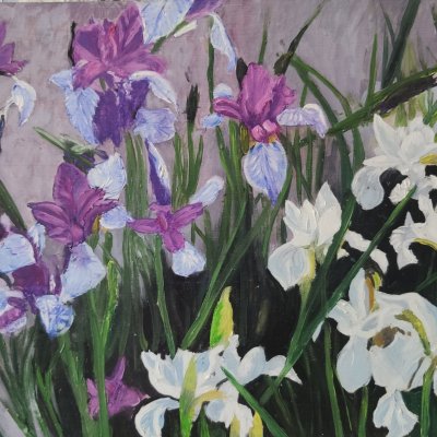 Irises