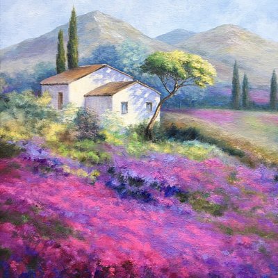 In a lavender field